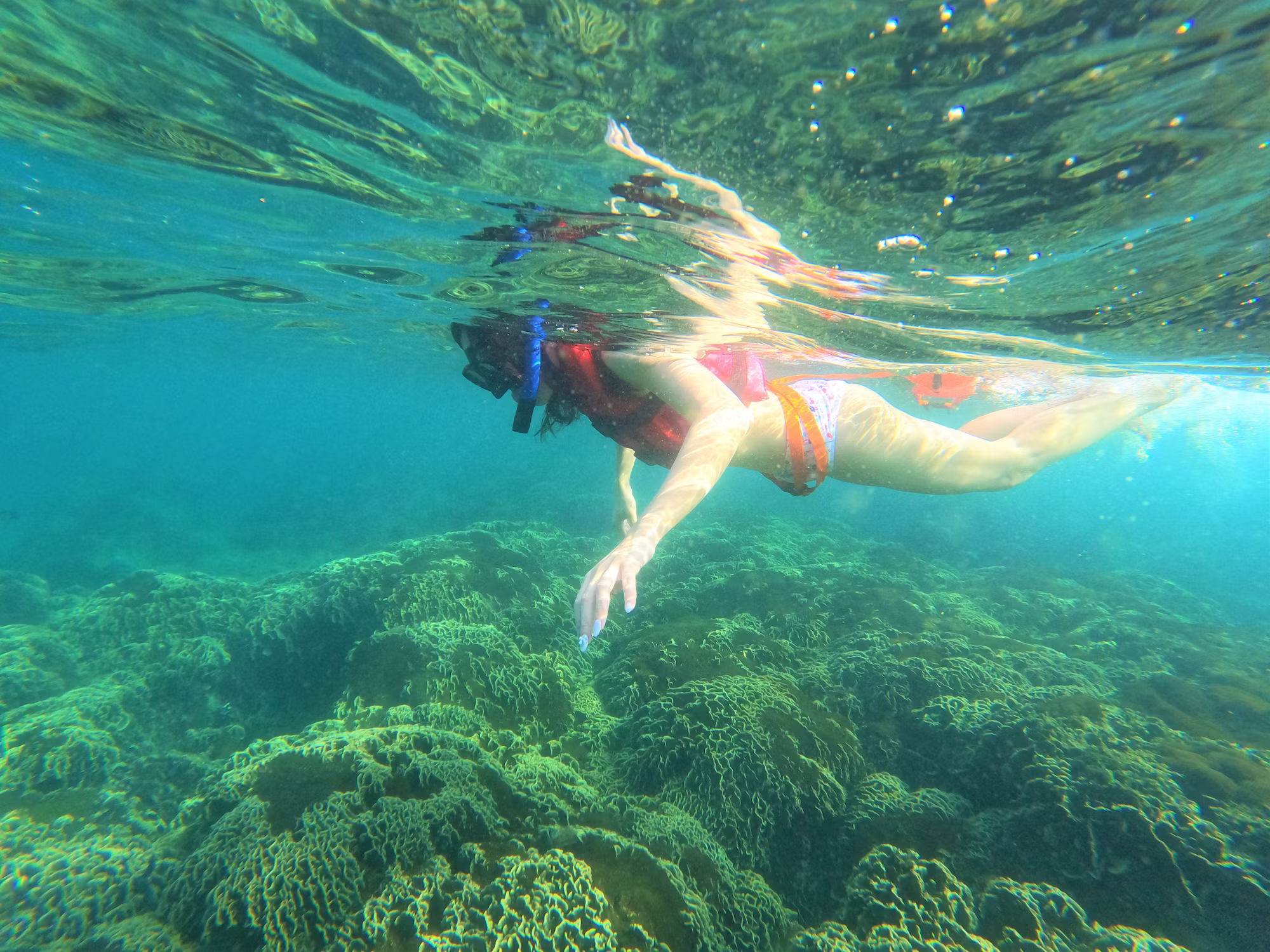 Beneath the Waves: A Journey Through the World of Diving